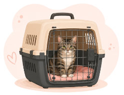 Transport animalier