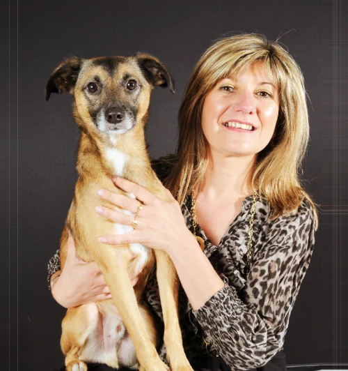 Garde d'animaux à Valenciennes