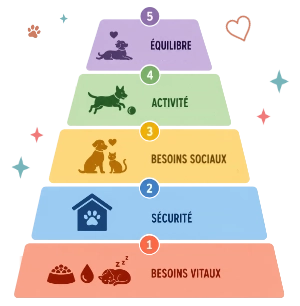 Pyramide des besoins de l'animal